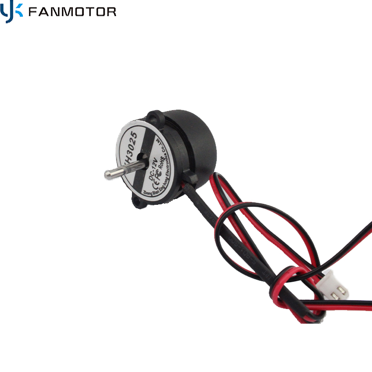 3025mm DC 12V Micro Motor Can Be with Cross Flow Fan
